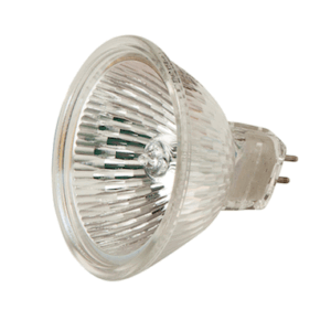 MR16 Halogen Lamp