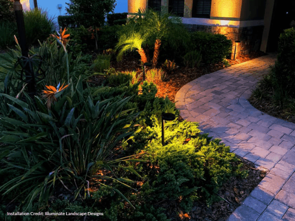 P12 | Path Light Series - Image 5