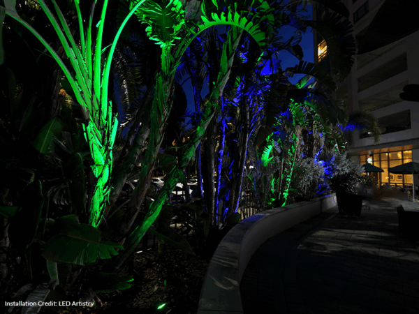 V2 | Visionary Series Spotlight - Image 4